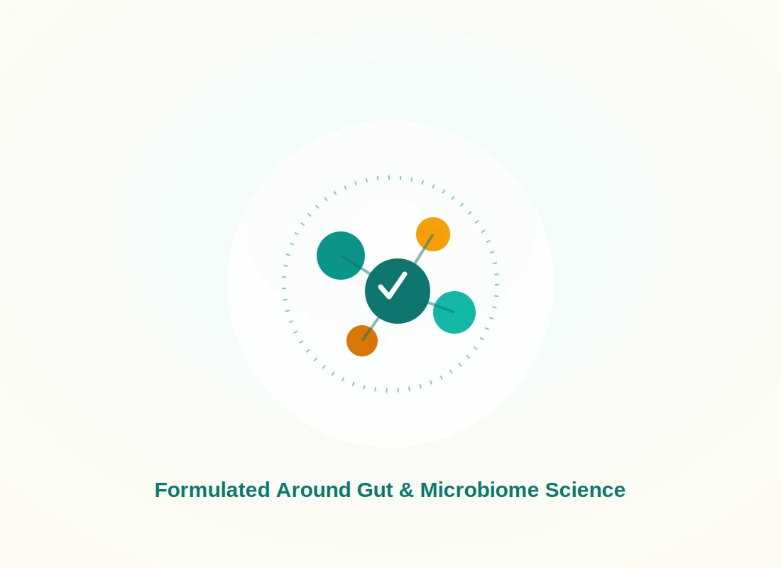 Illustration of the gut microbiome network that inspired the Gut Drops formula